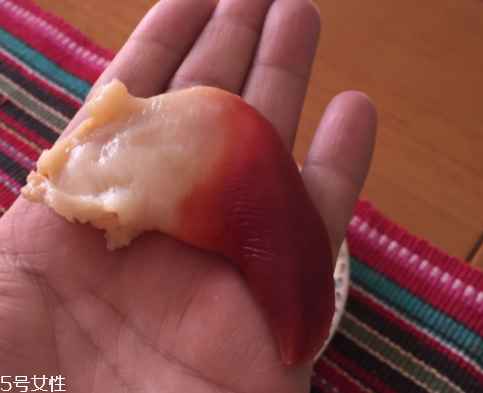 北極貝是海鮮嗎？北極貝介紹