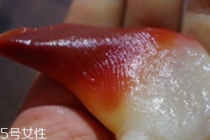 北極貝能不能煮？煮北極貝可以嗎？