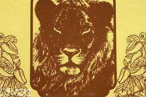 德國(guó)辣椒膏藥怎么樣？德國(guó)辣椒膏藥使用方法