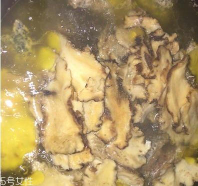 烏骨雞是烏雞嗎？烏骨雞是什么雞？