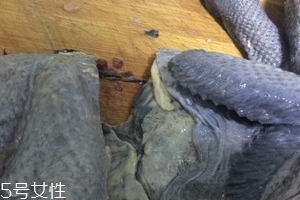 烏雞下奶嗎？烏雞怎么吃下奶？
