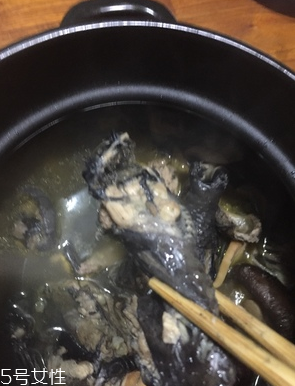 烏雞是公雞好還是母雞好？烏雞買公雞還是母雞？