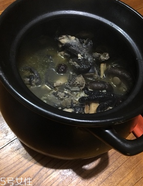烏雞是公雞好還是母雞好？烏雞買公雞還是母雞？