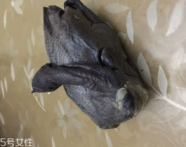 烏雞是熱性還是涼性？烏雞偏熱還是偏涼？