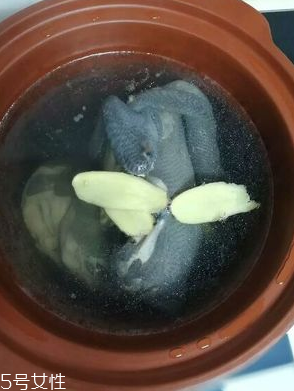 烏雞是熱性還是涼性？烏雞偏熱還是偏涼？