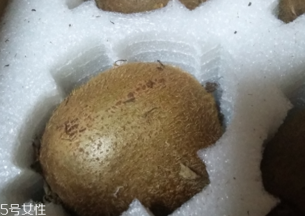 綠心獼猴桃硬的能吃嗎？硬的綠心獼猴桃能吃嗎？