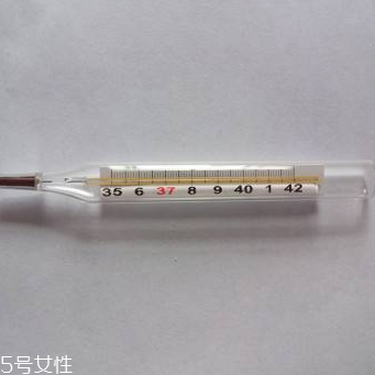 體溫計多少錢？體溫計價格