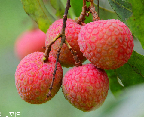 荔枝是涼性還是熱性？月經(jīng)來(lái)了能吃荔枝嗎