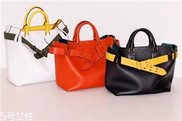 burberry the belt bag多少錢？巴寶莉貝爾特包專柜價(jià)格