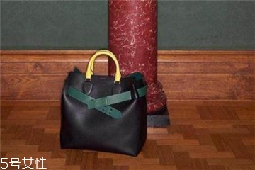 burberry the belt是什么皮？巴寶莉貝爾特包材質(zhì)