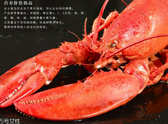 波士頓龍蝦頭里綠色的是什么？