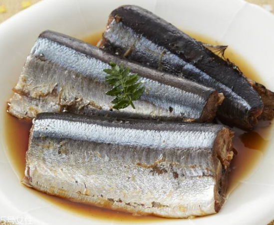 青魚怎么釣？青魚可以用什么餌料？