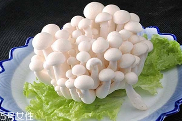 白玉菇和海鮮菇的區(qū)別 白玉菇和海鮮菇是一樣的嗎？