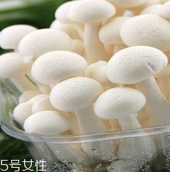 白玉菇的營養(yǎng)價值 白玉菇有什么營養(yǎng)？