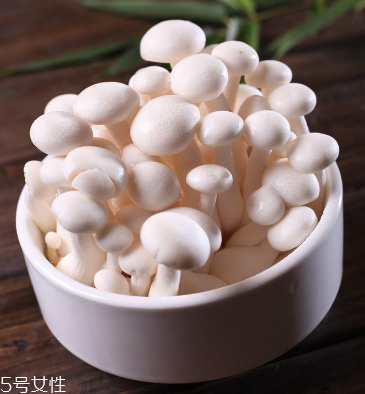 白玉菇為什么是苦的？白玉菇怎么會苦？