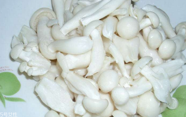 白玉菇為什么是苦的？白玉菇怎么會苦？