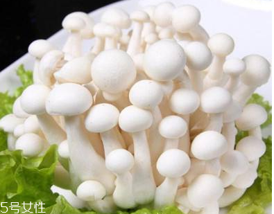 白玉菇的選購技巧 白玉菇怎么挑選？