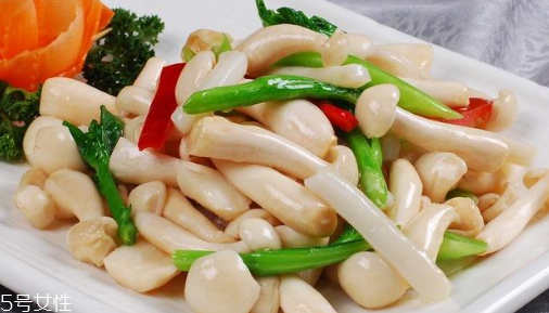 白玉菇的吃法 白玉菇能燉雞嗎？