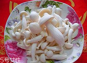 白玉菇能和西紅柿一起吃嗎？白玉菇能和番茄一起吃嗎？