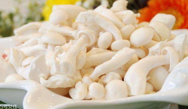 白玉菇長(zhǎng)白毛是怎么回事？白玉菇長(zhǎng)白毛還能吃嗎？