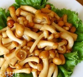 滑子菇的功效 滑子菇有什么作用？