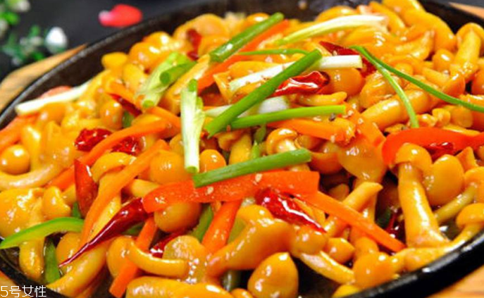 滑子菇野生和滑子菇養(yǎng)殖的區(qū)別 野生滑子菇的好嗎？