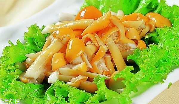 滑子菇的禁忌人群 哪些人不能吃滑子菇？