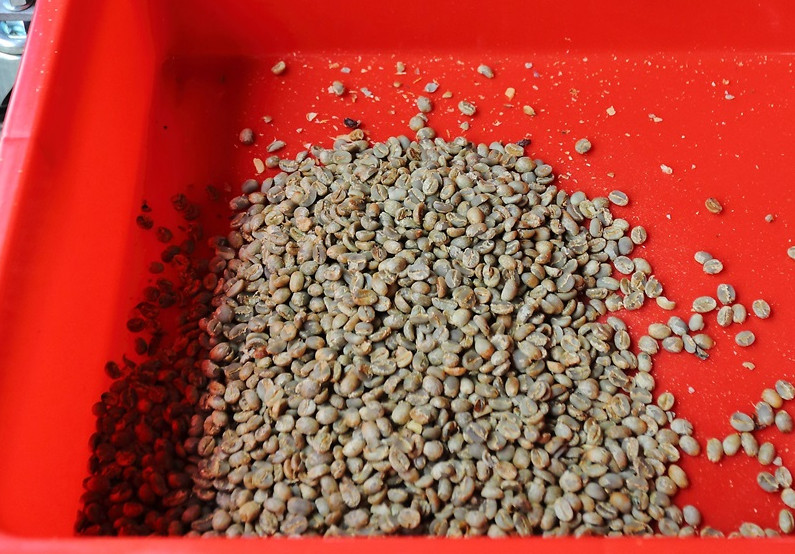 咖啡豆新豆、舊豆、老豆各有什么特色