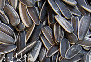 葵瓜子的熱量 葵瓜子會長胖嗎？