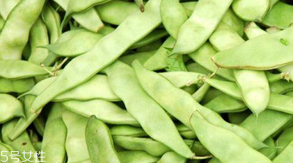 蕓豆是什么？蕓豆是豆角嗎？