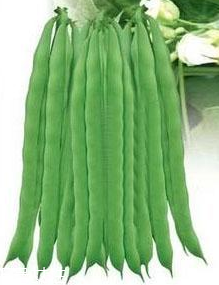 蕓豆能生吃嗎？蕓豆生吃會(huì)怎樣？