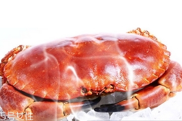 面包蟹肉多嗎？面包蟹幾月份最肥