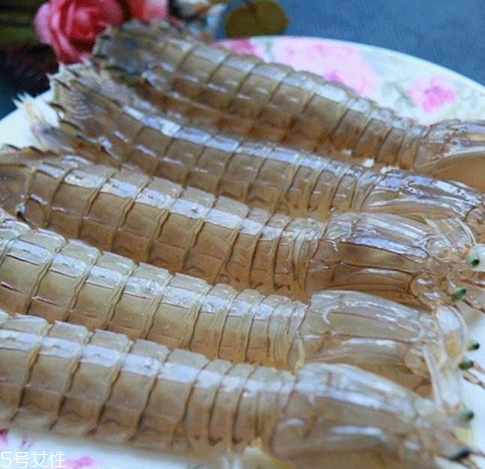 皮皮蝦能長(zhǎng)多大？皮皮蝦最大有多大？