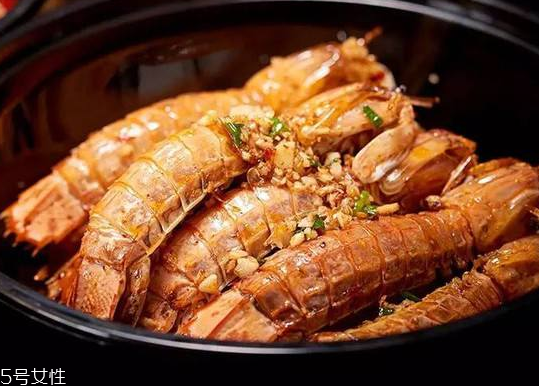 皮皮蝦能長(zhǎng)多大？皮皮蝦最大有多大？