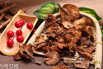 榛蘑的好處 榛蘑對人有什么益處？