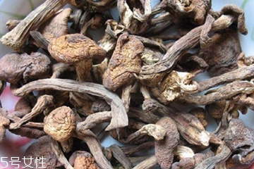 榛蘑和木耳的區(qū)別 榛蘑和木耳能一起吃嗎？