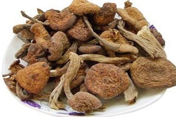 榛蘑是野生的好嗎？野生榛蘑的好處