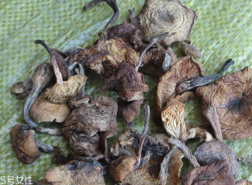 榛蘑能保存多久？干榛蘑怎么保存最好？