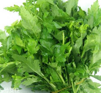菊花腦是苦的嗎？菊花腦苦不苦？