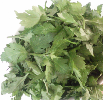 菊花腦怎么挑選？菊花腦選購技法