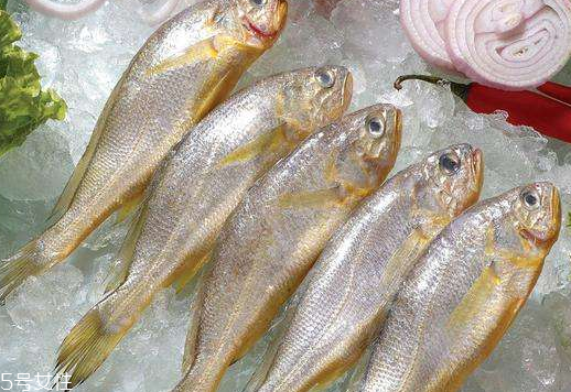 黃花魚(yú)是發(fā)物嗎？黃花魚(yú)是涼性的嗎？