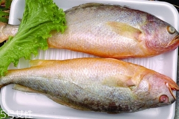 黃花魚是發(fā)物嗎？黃花魚是涼性的嗎？