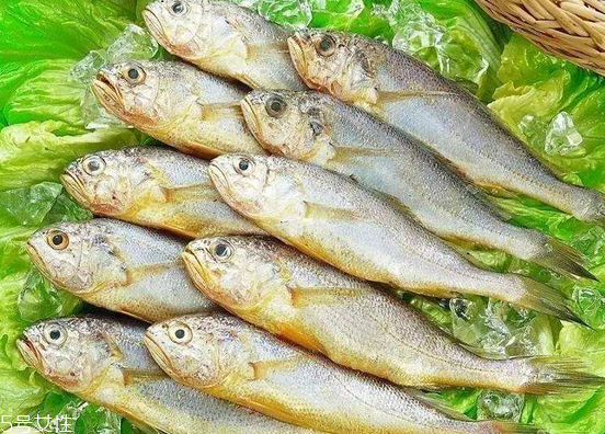 黃花魚去鱗嗎？黃花魚去內(nèi)臟嗎？