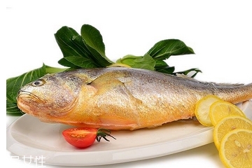 黃花魚為什么都是死的？死黃花魚可以吃嗎？