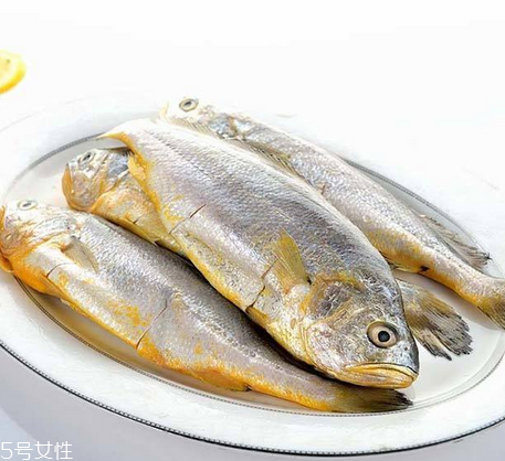 黃花魚為什么都是死的？死黃花魚可以吃嗎？