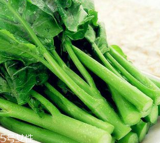 芥蘭是芥菜嗎？芥蘭和芥菜的區(qū)別