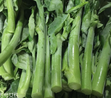 芥蘭的存儲(chǔ) 芥蘭能放冰箱嗎？