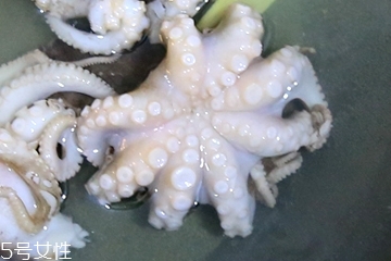 章魚會噴墨汁嗎？章魚的墨汁能吃嗎？