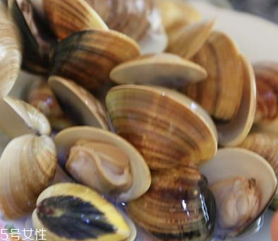 文蛤是海鮮還是河鮮？文蛤是海鮮嗎？