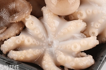章魚可以炸嗎？章魚能油炸嗎？